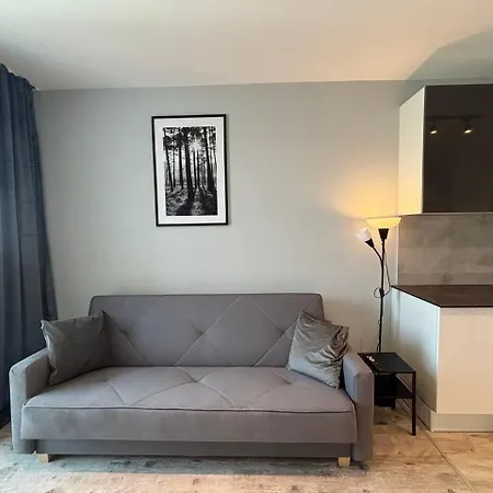 Star A122 Apartment Warsaw